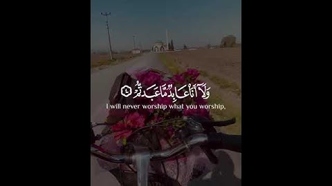 تلاوة خاشعة سورة الكافرون بصوت القارئ #سعد_الغامدى