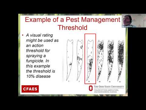 Video: Hvordan bliver jeg en certificeret pesticidapplikator i Michigan?