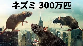 大都市をネズミが占拠。次のターゲットはあなたの街