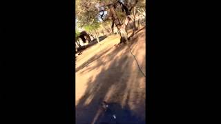 Fernando Ahumada y su novia en el Rancho La Chiripa dos