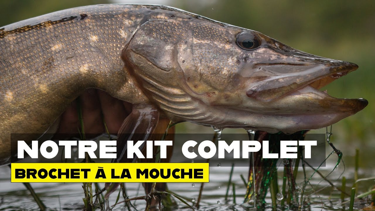Un montage basique pour la pêche en mer : le montage dit poils de balai