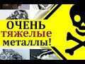 ОЧЕНЬ 👿 Тяжелые Металлы и Рассеянный Склероз