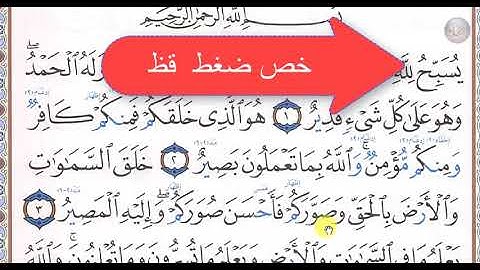 تصحيح تلاوة بأحكام التجويد | لسورة التغابن / الوجه الاول / صفحة_556