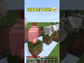 My Video