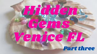 Hidden Gems in Venice FL Part 3
