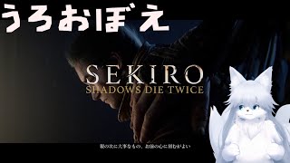 うろ覚え隻狼【SEKIRO: SHADOWS DIE TWICE】