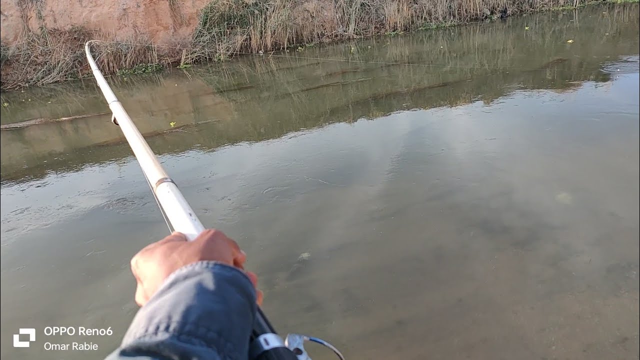 استمتع بمشاهدة بشاير موسم الريمه و صيد سمك بسنان من ميه اللحوم