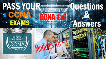 CCNA 1 v7 Modules 16 – 17 Building and Securing a Small Network Exam Answers