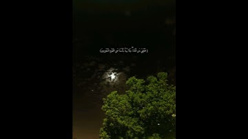 تلاوة هادئة تريح القلب