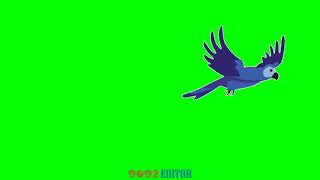 GREEN SCREEN HD -  Bird Fly Animation