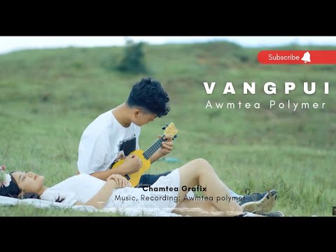 AWMTEA POLYMER   VANGPUI FAVANG OFFICIAL MUSIC VIDEO