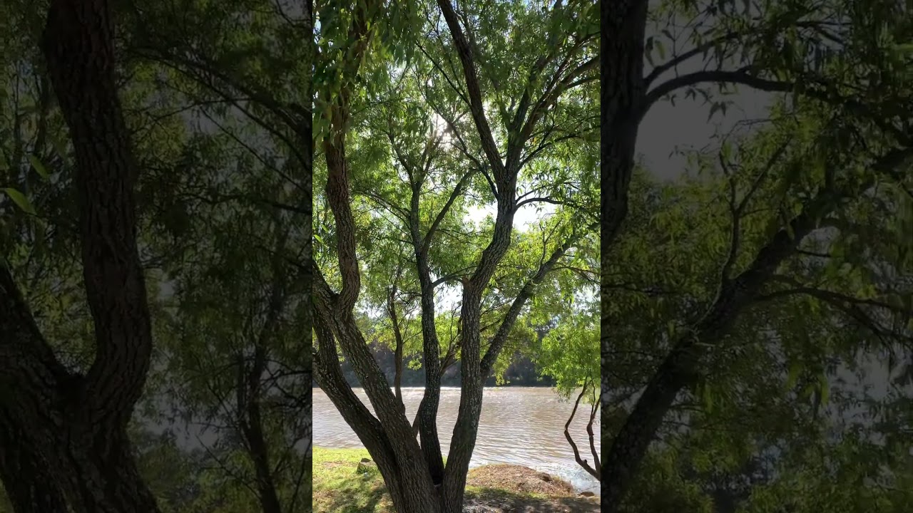 Un rincón de Humilpan Querétaro 