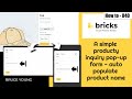 Bricks Builder Product Inquiry Pop-up - Auto-populate the name of the product in the form