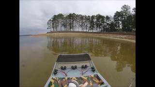 AQUACRAFT CAJUN COMMANDER:  Alligator Tour at Lake Lanier