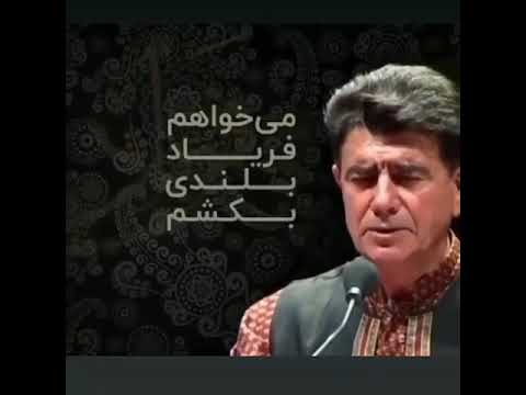 شجریان محمدرضا همایون شجریان