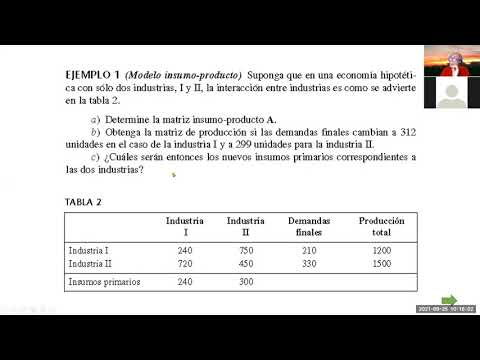 MATRIZ INSUMO PRODUCTO