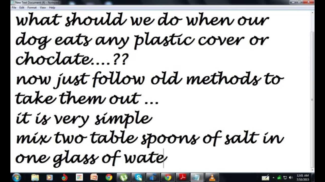 what to do when your dog eats plastic or choclate YouTube