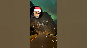 سورة يوسف الشيخ السيد سعيد واستبقا الباب وقدت قميصه من دبر وألفيا سيدها لدى الباب قالت 
