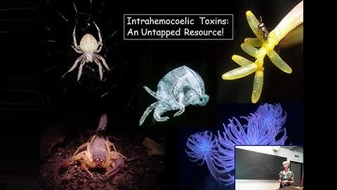 Novel Toxin Delivery Strategies for Management of Pestiferous Aphids