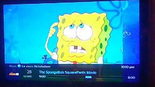 Stephen Hillenburg Nickelodeon Tv Memorial Spongebob Creator