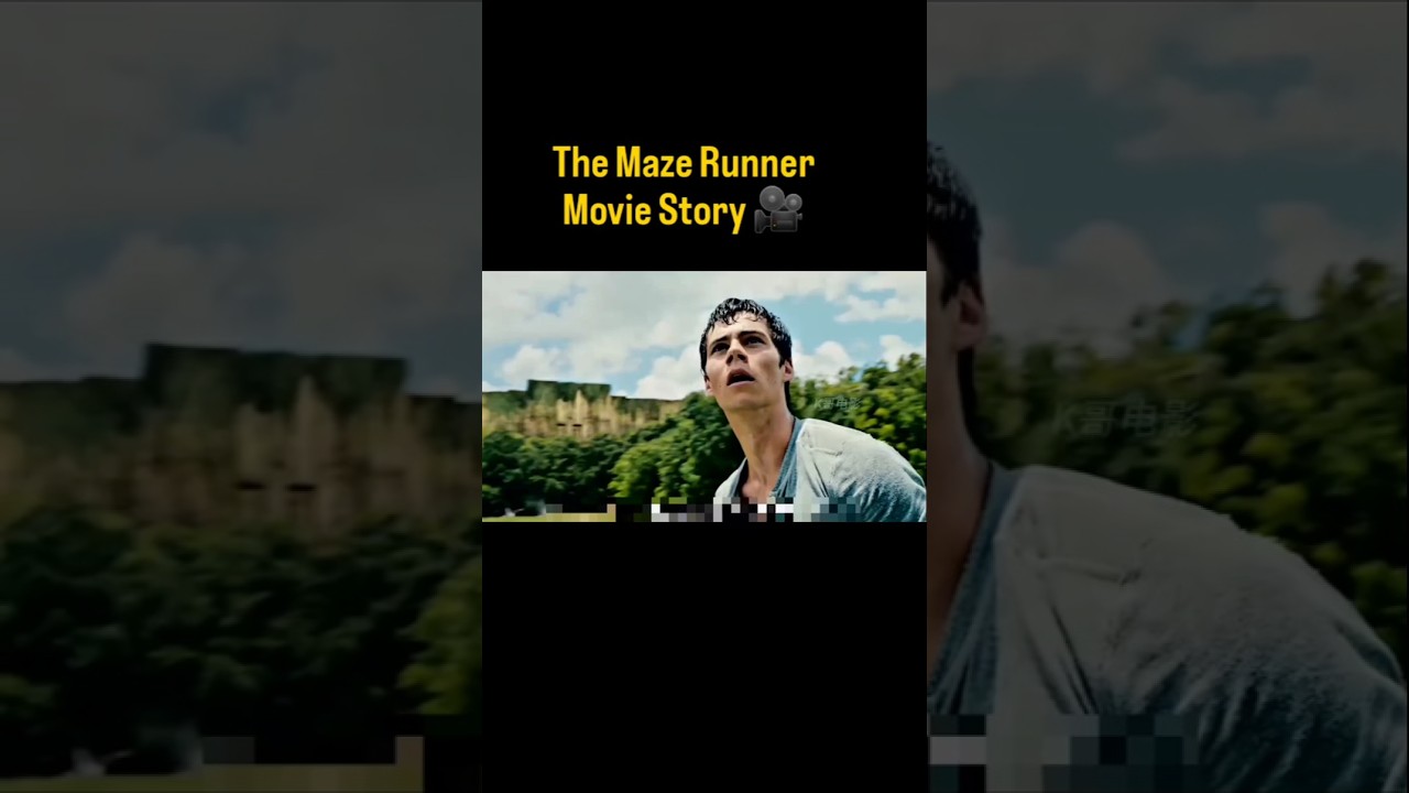 Amazing Story From Maze Runner Movie Explained In Hindi 