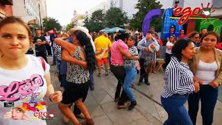 chihuahua bailndo con ari uribe