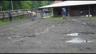 ahr2012060303.flv