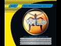 Wild reunion vol 2  dj kcb wild anthems megamix hq