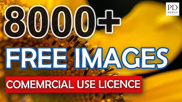 Free nature photography - 8000+ nature stock photos, Public Domain 4k videos, images for book covers
