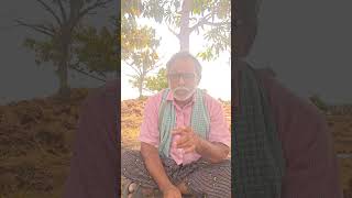 తిరిగి మళ్ళీ  లేస్తానే నమ్మకం చాలు #lifelessons #paddy #paddyfarming