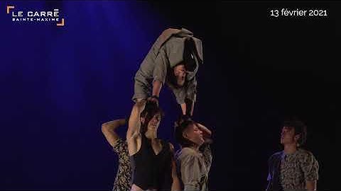 BACKBONE - Gravity and Other Myths