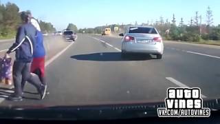 Auto Vines 144