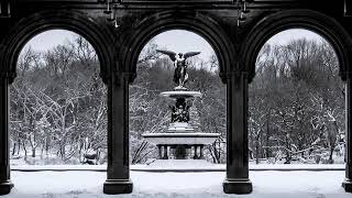 Celebrity New York - Andrew Belle Profile