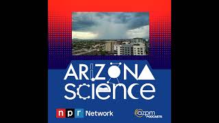 Studying This Year's Monsoon