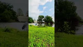 Short flight DJI Avata 360 #viral #viralvideo #fpv #djidrone #drone #dji