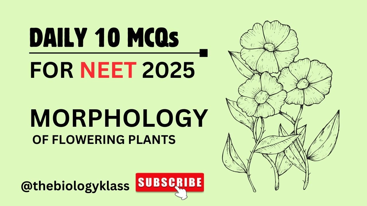 Daily 10 MCQ - Morphology of flowering plants 1| NEET 2025 | CBSE Board ...