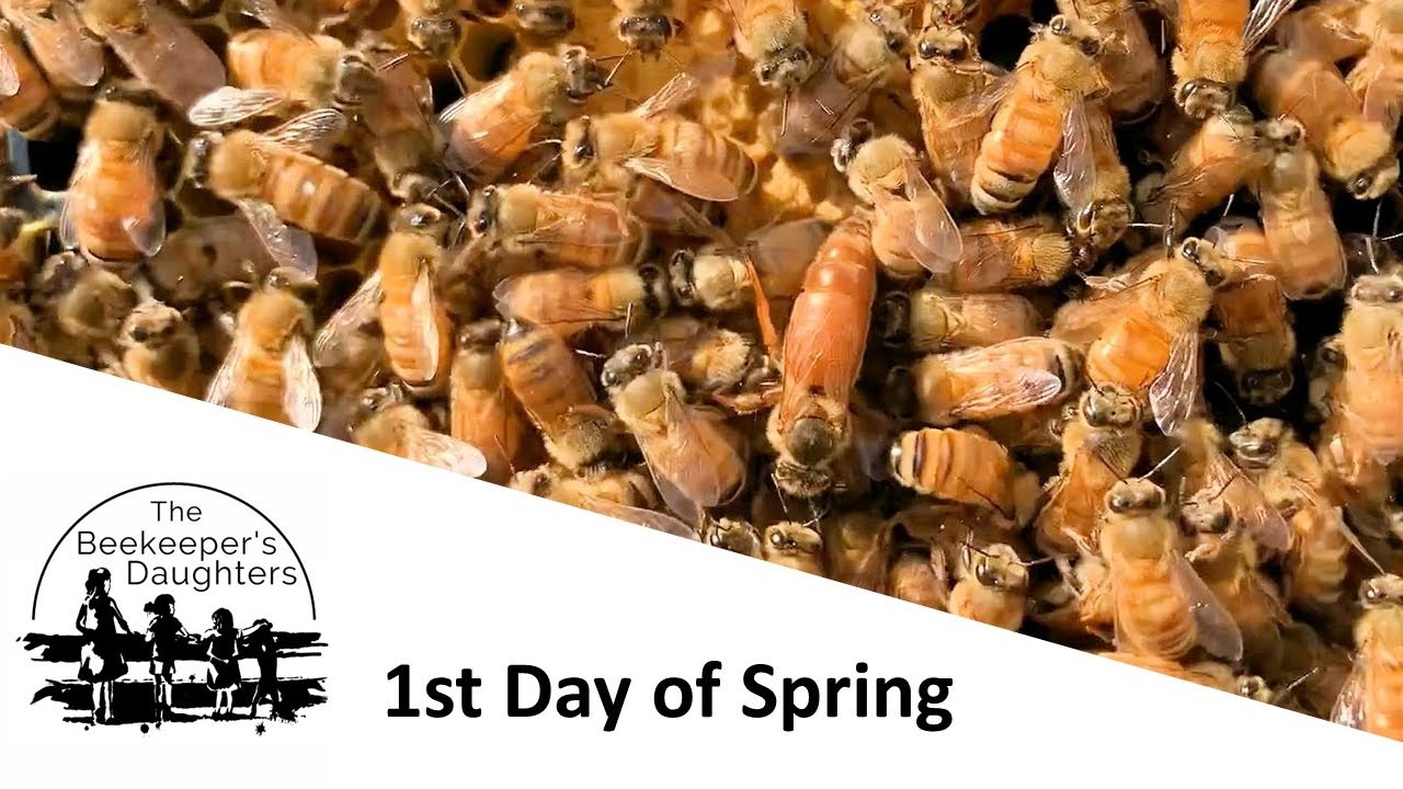 First Day of Spring - YouTube