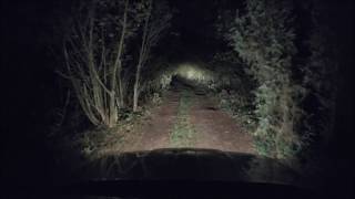 Night drive in creepy forest (Poland) - zepter00