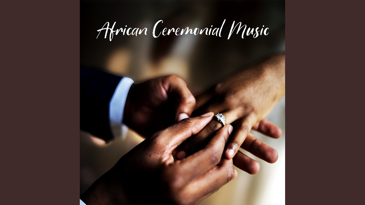 South African Party YouTube