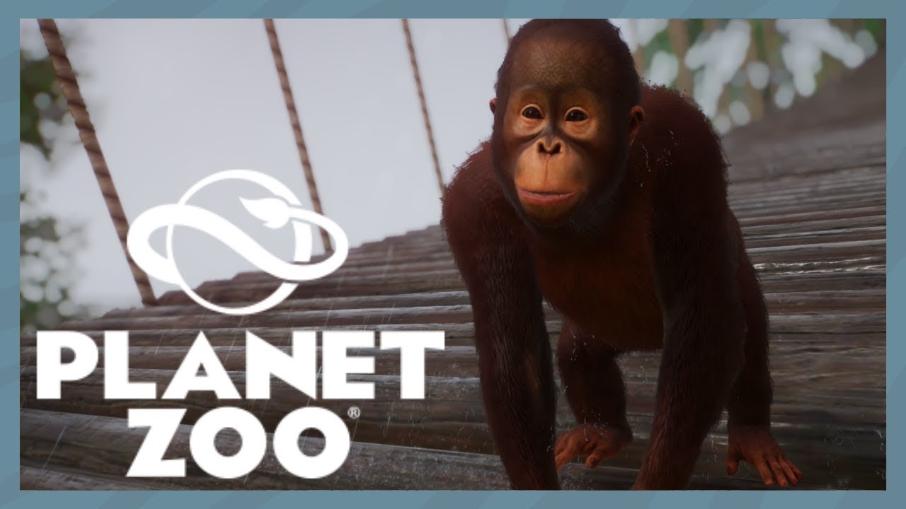 planet zoo forum planet zoo forum