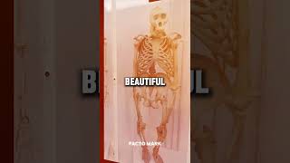 Amazing photos you must see once Part -3