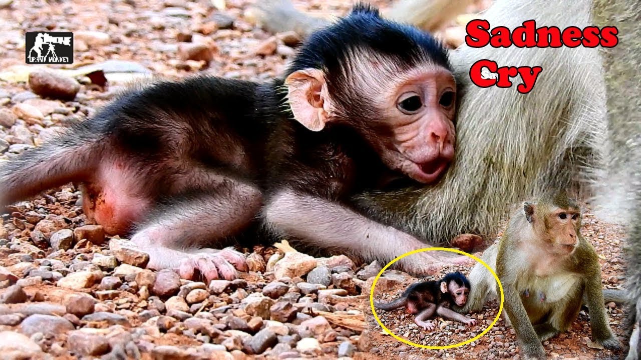 Break my heart - S0-Pity poor newborn Toni cried so sad hug leg'sMom|Toni cried cuz Mom not care