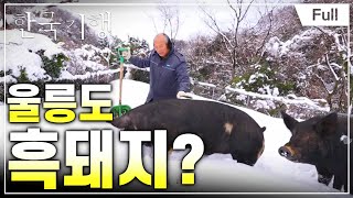[Full] 한국기행 - 겨울왕국 울릉도   제3부 즐거운 나의 섬 20160302