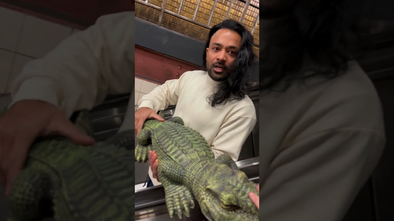 Oh U Wanna Touch My Alligator Clo Shorts