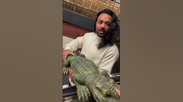 Thumbnail of oh u wanna touch my alligator? @clo #shorts