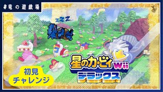 #1【星のカービィWiiデラックス】かつて出来なかったカービィを初見プレイ【竜の遊技場】