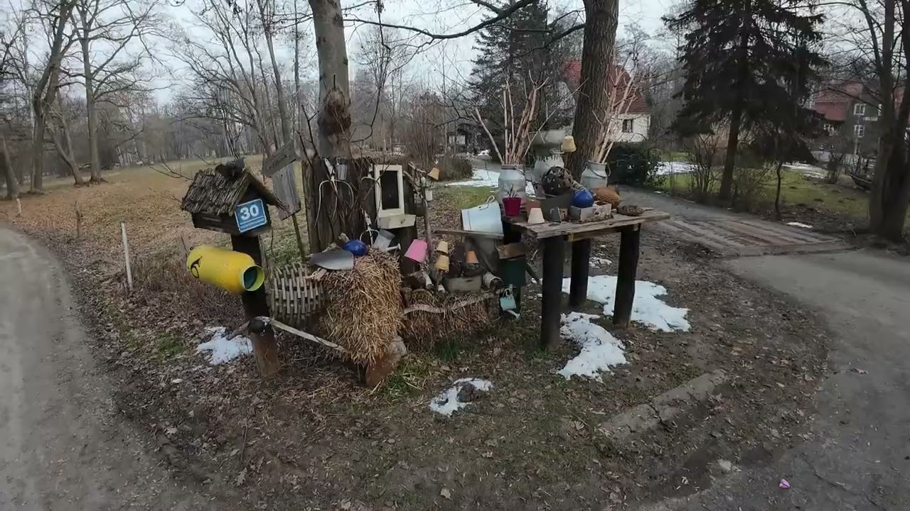 Frostwiesenlauf/ Marsch von 30km ( es waren dann aber 36 km ) am 25.01. 2026 in Burg/ Spreewald