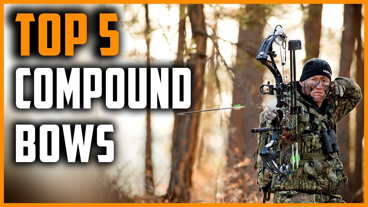Best Compound Bows 2021 Top 5 Compound Bows for Beginners YouTube