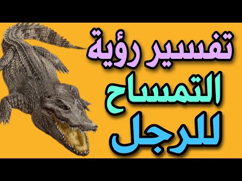 تفسير رؤية التمساح للرجل فى المنام لابن سيرين