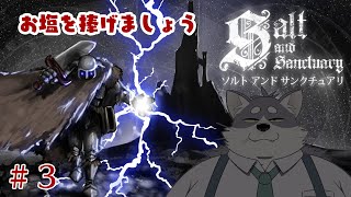 【Salt and Sanctuary #3】ぱわーおぶそると【初見プレイ】